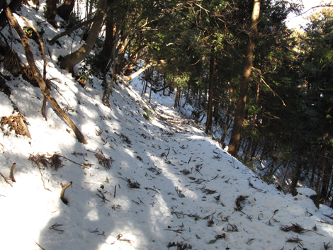 20180126hike (242)